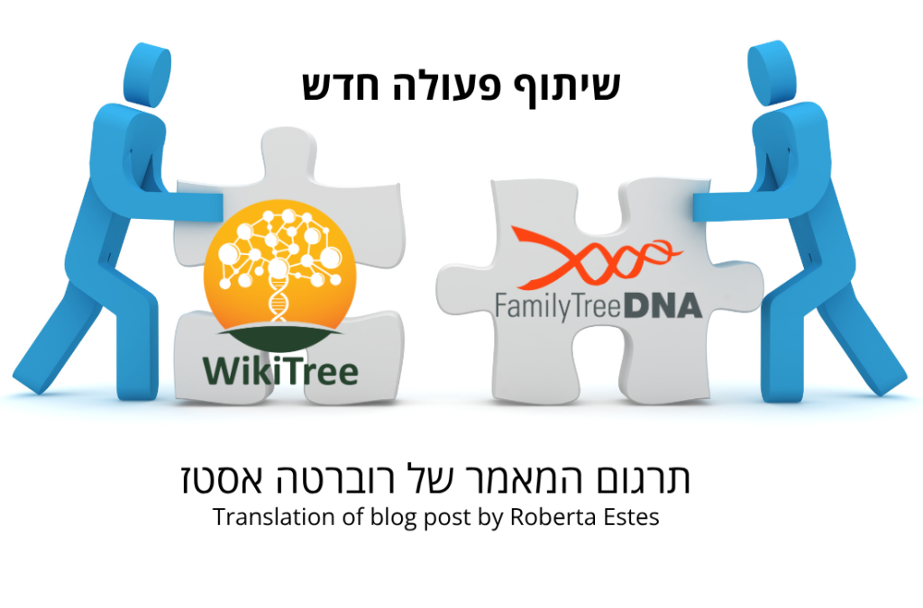 איור של שיתוף פעולה חדש בין WikiTree ל‑FamilyTreeDNA, מוצג באמצעות שתי דמויות כחולות שמחברות בין שני חלקי פאזל. בצד שמאל – לוגו של WikiTree, ובצד ימין – לוגו של FamilyTreeDNA. מעל מופיע הכיתוב "שיתוף פעולה חדש", ולמטה – "תרגום המאמר של רוברטה אסטס | Translation of blog post by Roberta Estes".